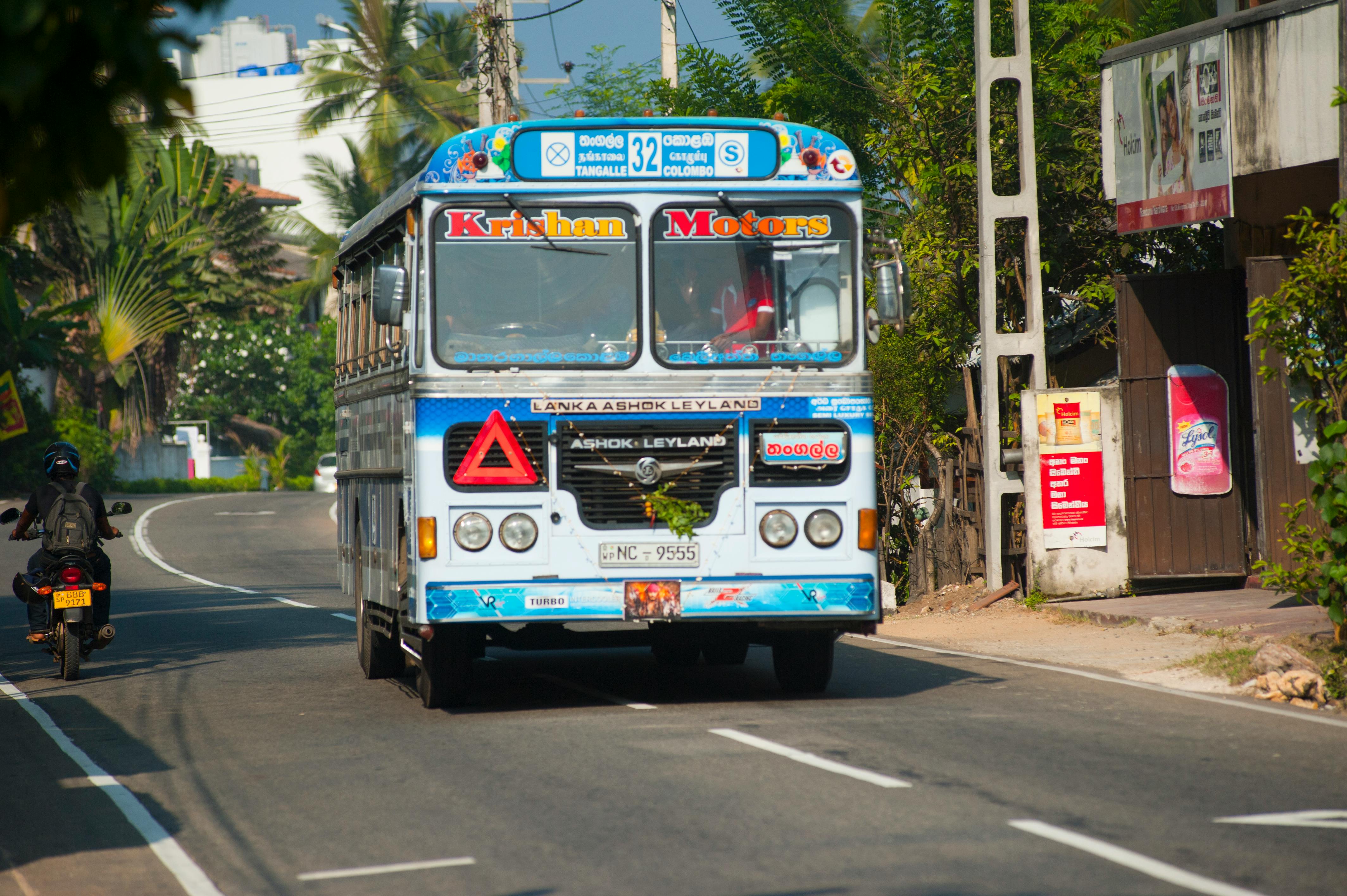 Local Travel & Adventure