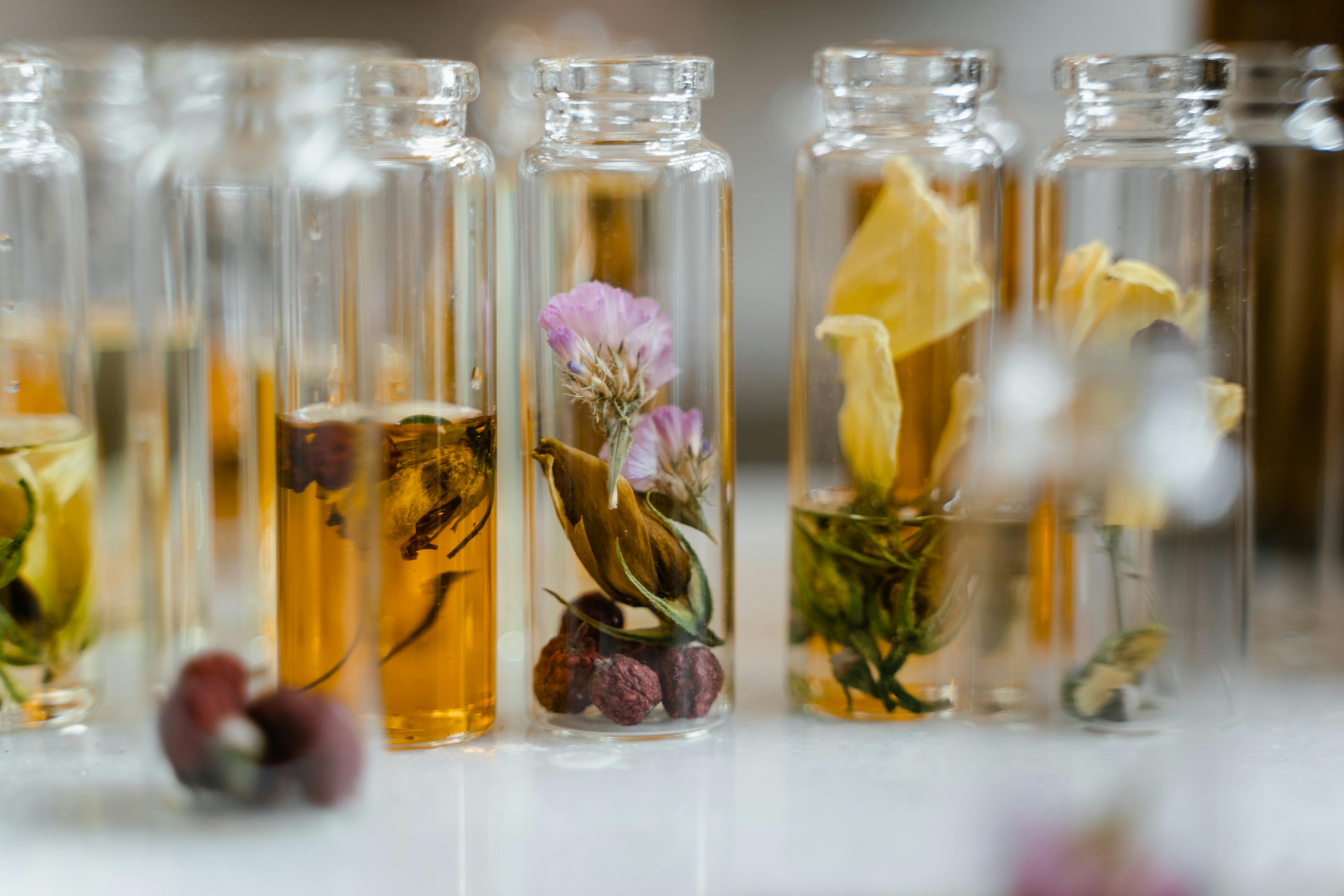 Wellness & Spa Highlights